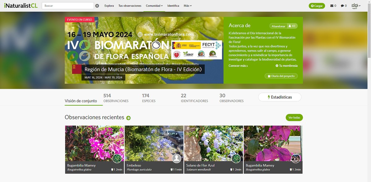 Así de bien va el Biomaratón en la Región de Murcia: 👀 + 514 OBSERVACIONES 💐 + 174 ESPECIES 🔎 + 22 IDENTIFICADORES 🙋‍♂️ + 30 OBSERVADORES ¡¡Y aún nos quedan 2 días y un ratito!! @Biomaraton @SEBOT Sociedad Botánica Española #CienciaCiudadana #Botanica #flora #vegetales