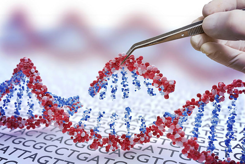 Genome Biology (@genomebiology) on Twitter photo Genome Biology is calling for submissions to the Collection "Genome editing and cancer", guest edited by Emanuel Gonçalves (@emanuelvgo) and Xueqiu Lin (<a href="/xueqiu_lin/">Xueqiu Lin</a>).
For more details: biomedcentral.com/collections/ge…
#CRISPR #geneediting Genome Biology is calling for submissions to the Collection "Genome editing and cancer", guest edited by Emanuel Gonçalves (@emanuelvgo) and Xueqiu Lin (<a href="/xueqiu_lin/">Xueqiu Lin</a>).
For more details: biomedcentral.com/collections/ge…
#CRISPR #geneediting