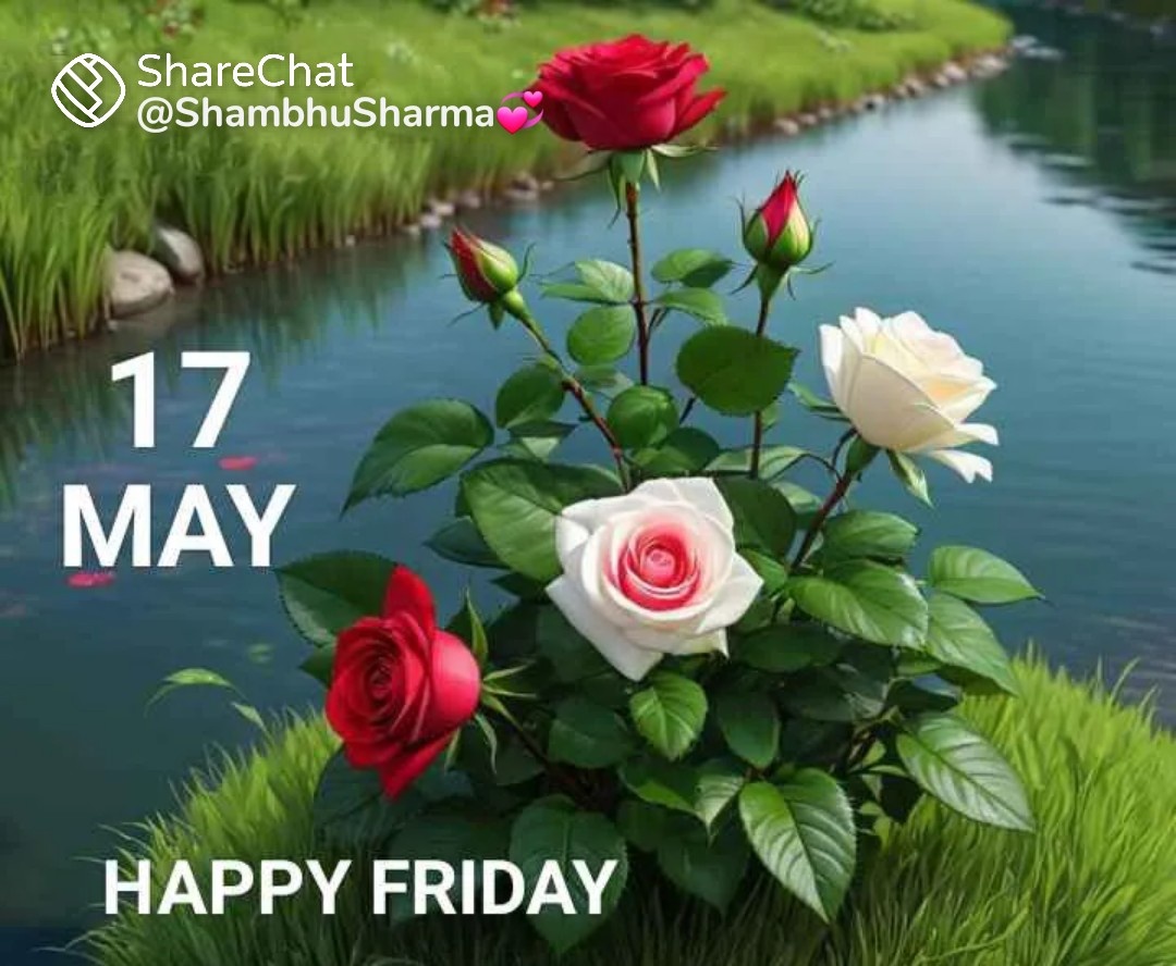 Dr.Guriya kumari tweet media