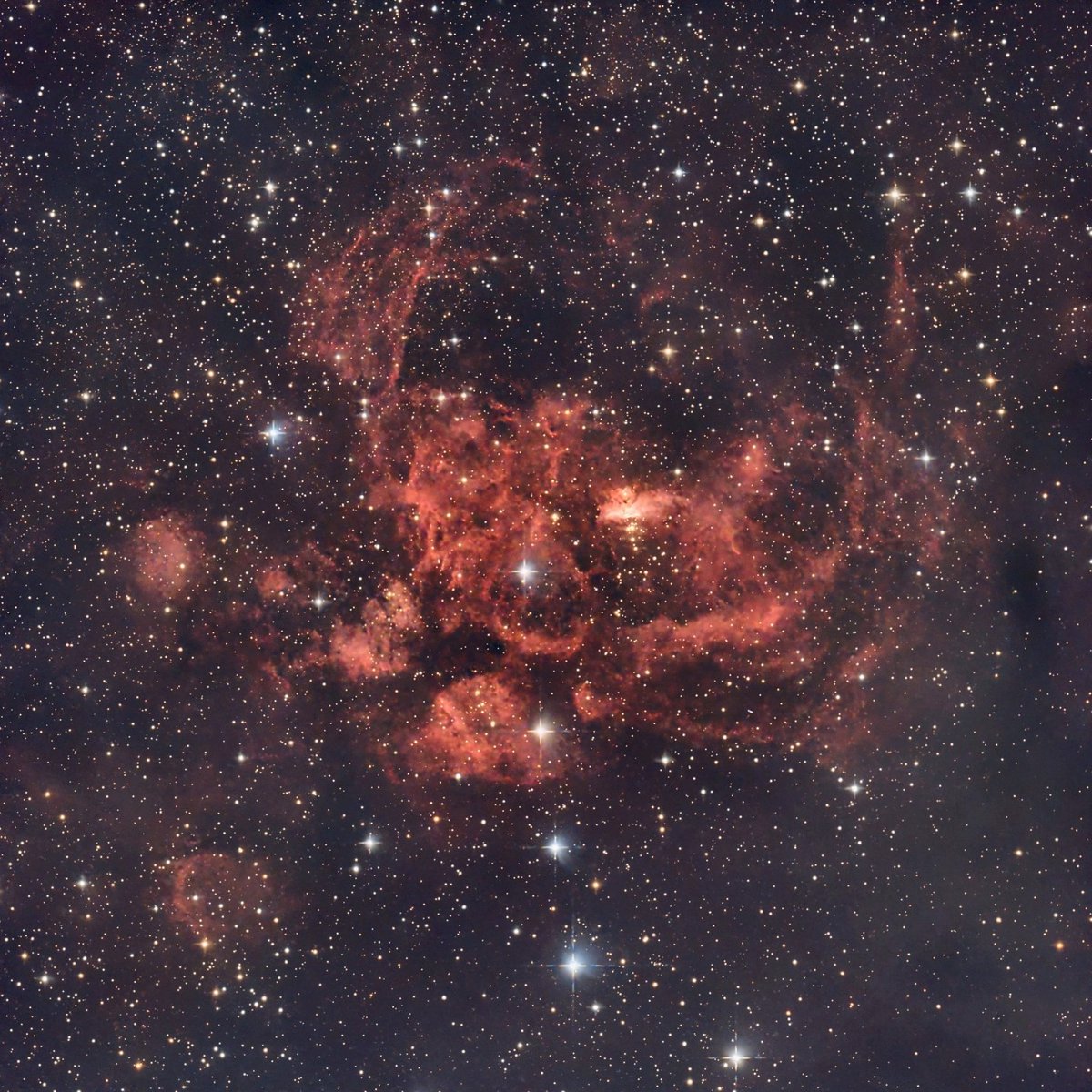 NGC6357 彼岸花星雲を初めて撮影しました
高度も低くて綺麗に写すのは難しい対象ですね💦
露出時間が短いのでもう少し撮り増ししたいです

NGC6357 彼岸花星雲
2024/5/10
23:40～24:40頃
千葉県いすみ市
Sky Watcher Quattro150P＋コマコレクター
Vixen GPD
ZWO ASI 533MC Pro
Gain100
-10℃
60sec×60
