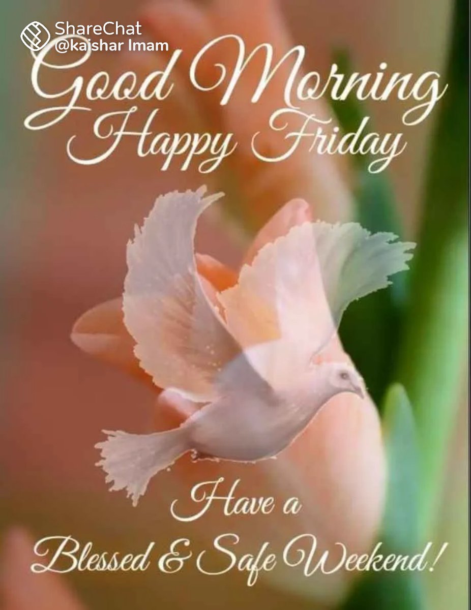 Dr.Guriya kumari tweet media