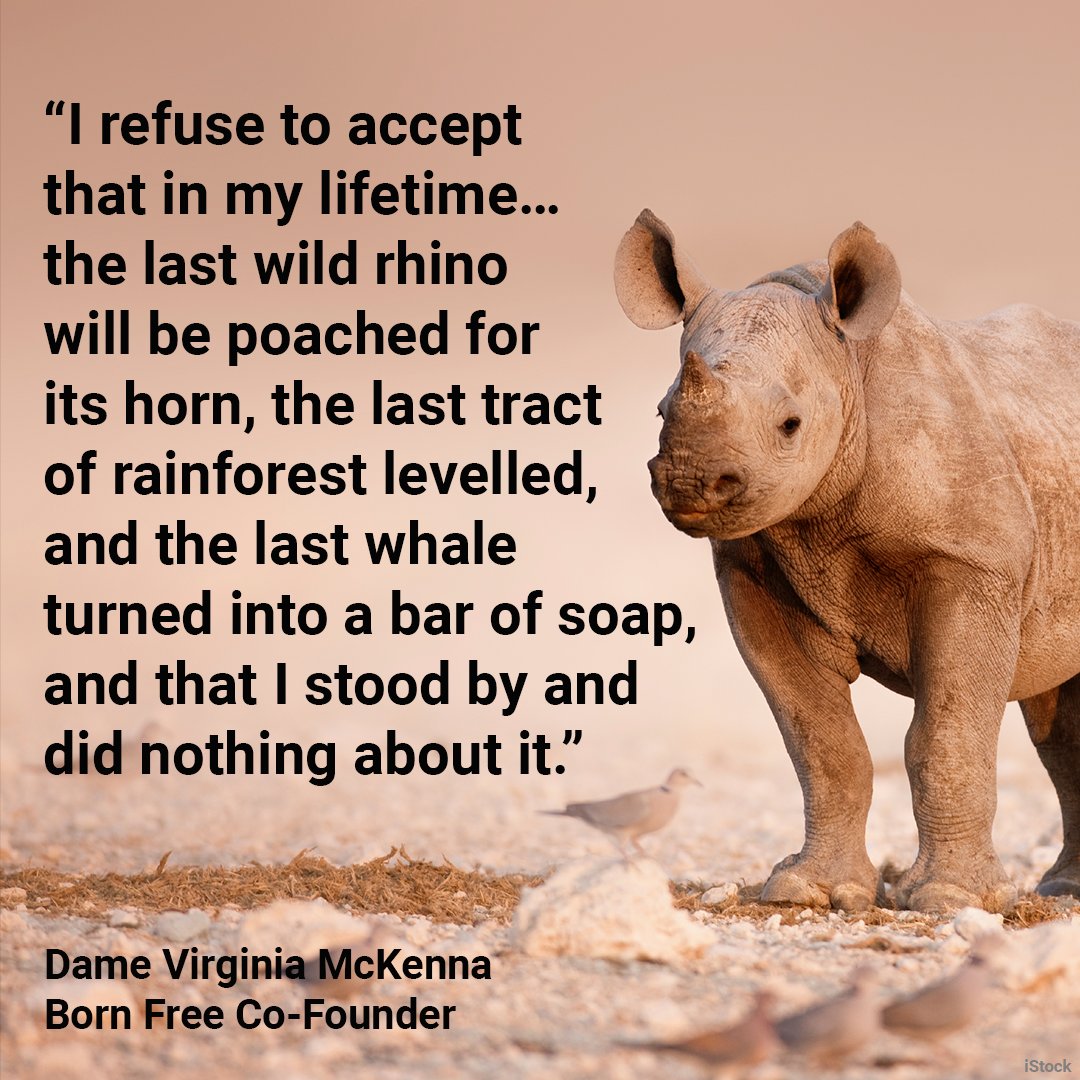 Today is #EndangeredSpeciesDay - a reminder that we must value, protect and restore our natural world. We are so lucky to share our world with wild animals. And, as our Co-Founder Dame Virginia McKenna said, we cannot stand by and do nothing.