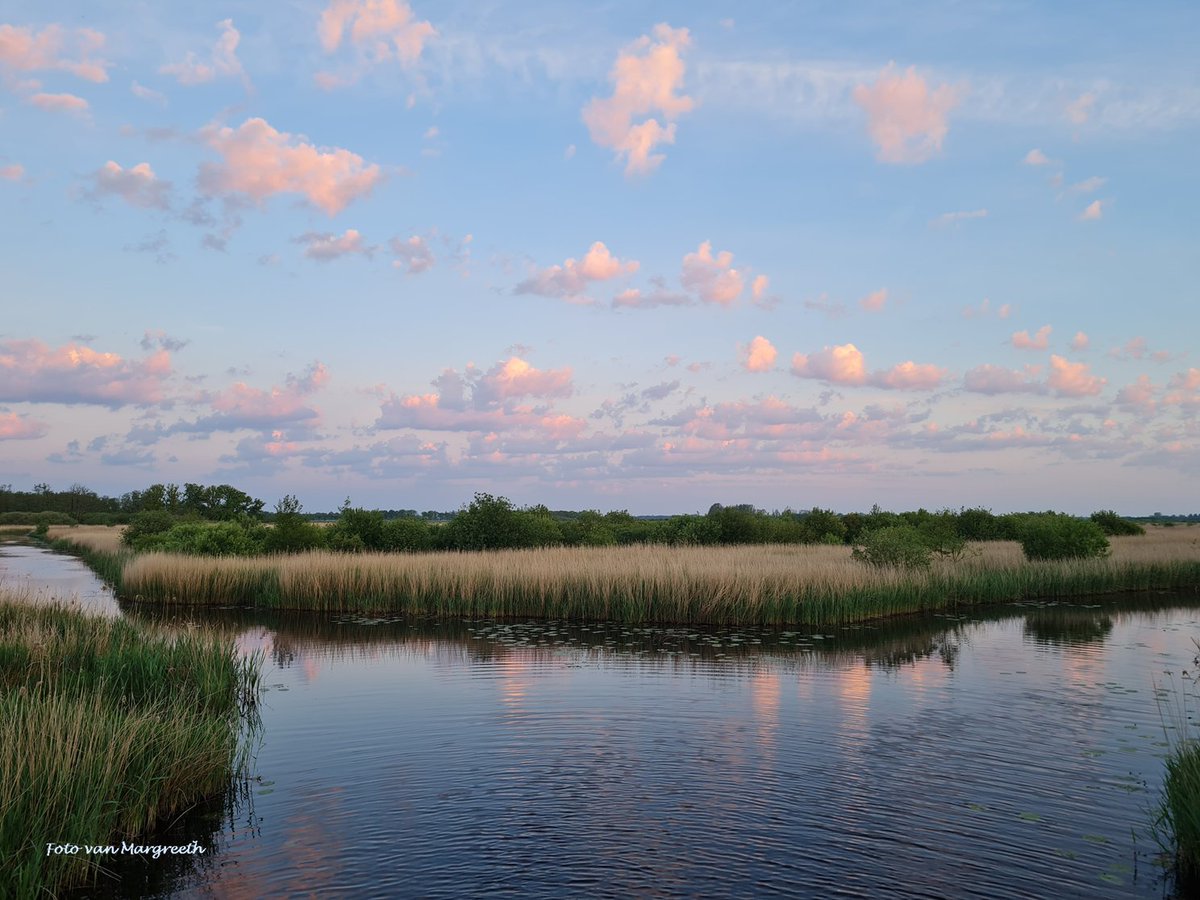 Met een rustige zonsopkomst van afgelopen maandag wens ik jullie een fijne avond ✨️🌙 #nature #naturephotography #Twitternaturephotography #weekend