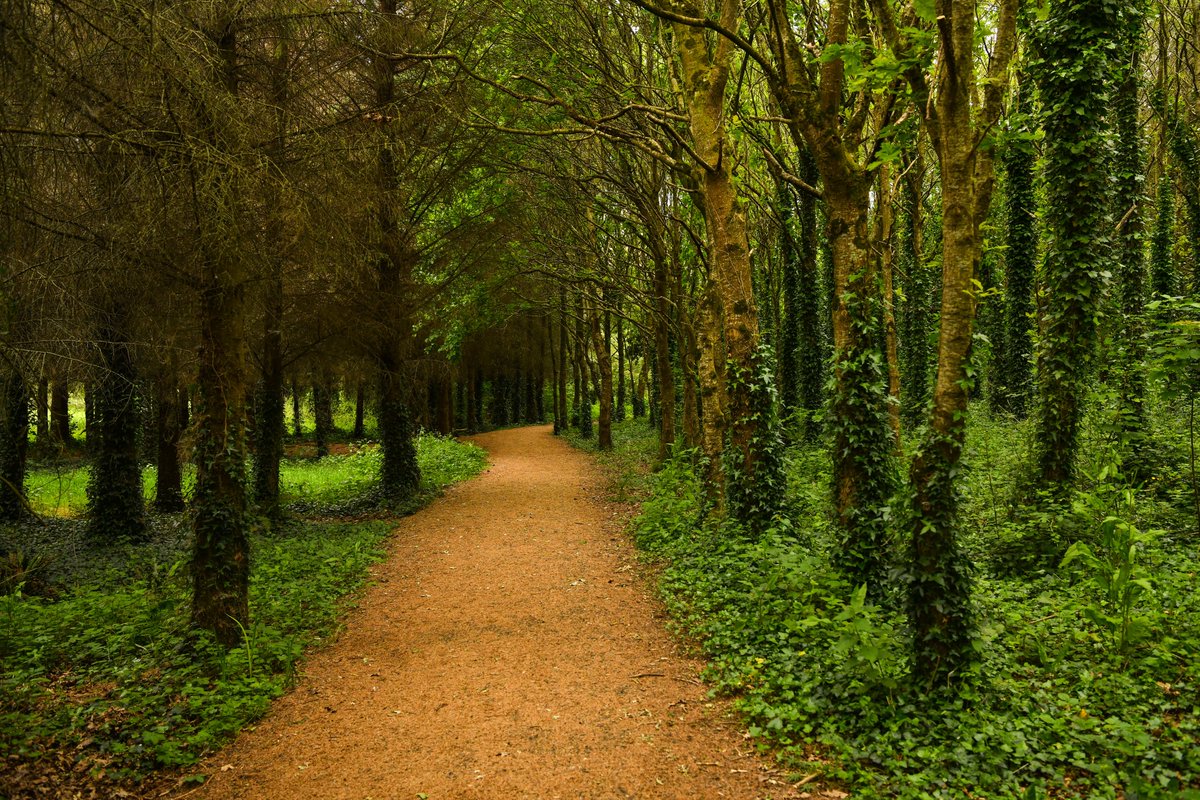 Sixteen Limerick City and County Council biodiversity projects have received funding totalling over €96k through the Local Biodiversity Action Fund (LBAF). National Biodiversity Week Kicks Off with €96K LBAF Funding for Limerick Projects | Limerick.ie