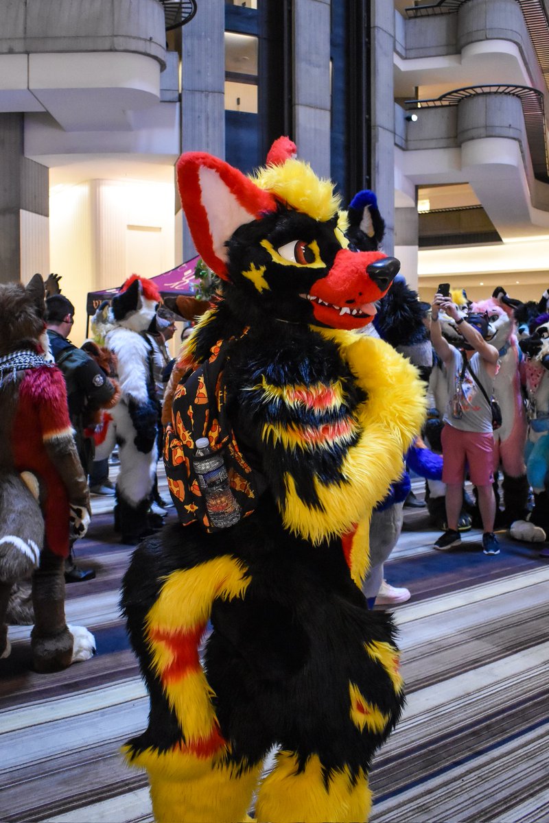 Had such an amazing time at FWA last weekend! It was such an adventure meeting new people and reuniting with friends, I only wished there was more time to hang out with everyone ❤️🔥 #FursuitFriday 📷 @rovethewolf