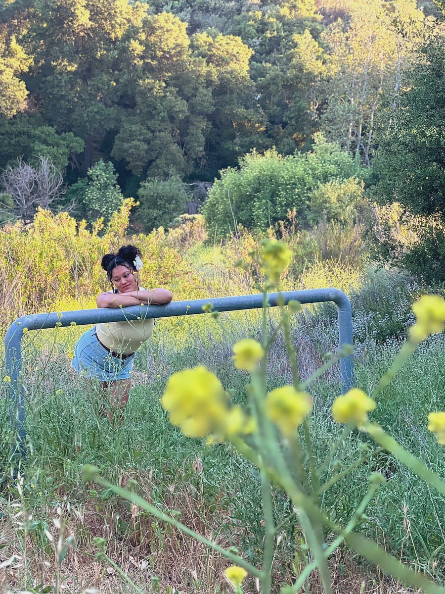 driveraaaaa's tweet image. Cali dump 🌼🍜✨