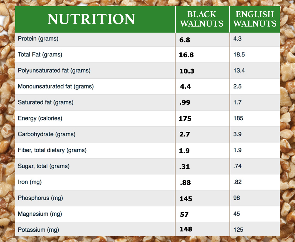 BlackWalnuts's tweet photo. Happy #nationalwalnutday! Here are some things that make #blackwalnuts unique &amp; set them apart from English Walnuts.
1. Richer, bolder flavor.
2. Wild grown &amp; hand harvested, not cultivated.
3. Nutritional powerhouse. (see comparison photo)
#walnuts #wildfoods #handharvested https://t.co/IScPiE58o2