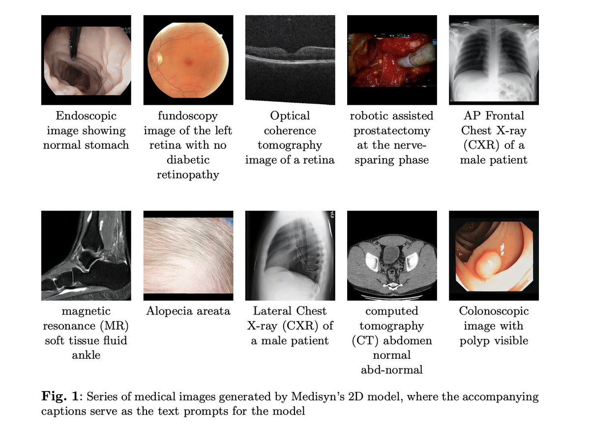 Joseph Cho tweet media