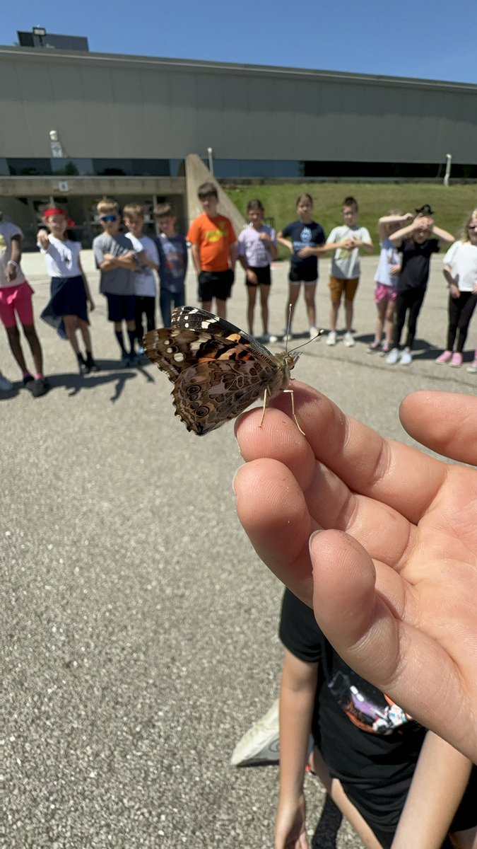 Bellflower We Care tweet media