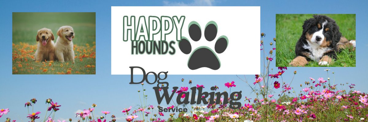 HappyHounds24's tweet photo. New Banner Design Guys! #NewDays #FridayFeelings #dog #walking #New #banners #twitterpost https://t.co/PF9Ks3KvPY