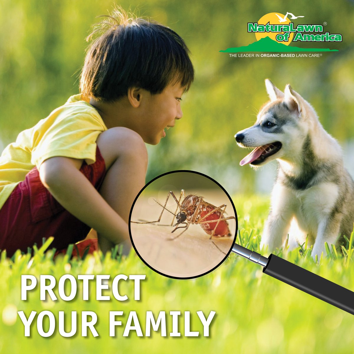 Reduce the risk of the West Nile Virus naturally. Let us reduce the mosquito population in your outdoor spaces without sacrificing your children's and pets' safety. Get your FREE QUOTE: ow.ly/s4xz50RsnNB or 800-989-5444 #NaturaLawn #NLA #PestControl #Mosquito #Organic