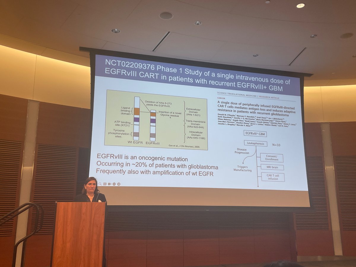 Rockstar @MarcelaMaus @MGHCancerCenter explains how #CARTcells can cause regression of #glioblastoma through targeting EGFR and secretion of a T cell engager molecule (TEAM) @UWMadison @WIDiscovery A true bench-to-bedside effort #IWIP2024