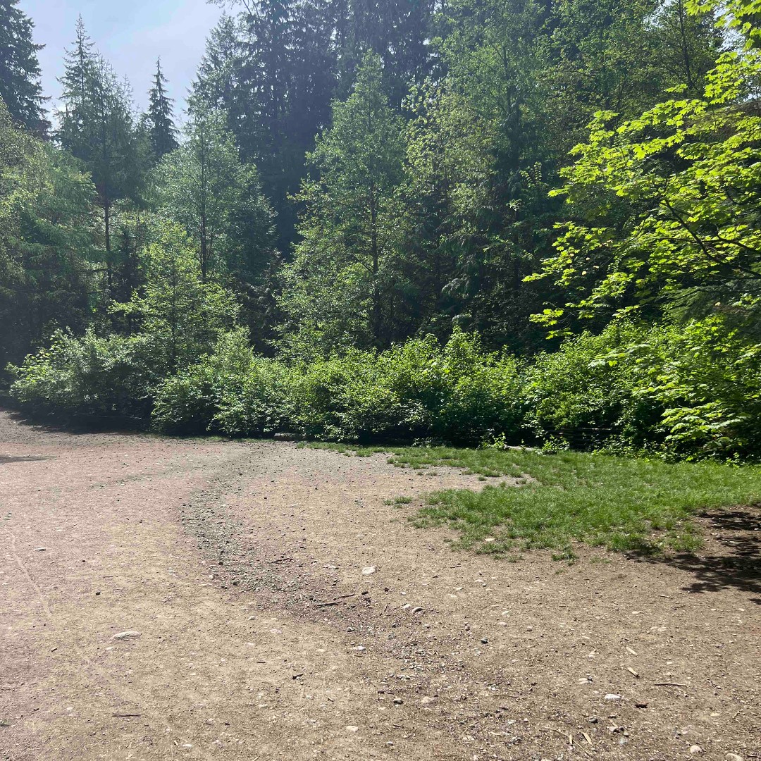 This Friday we are visiting Princess park in North Vancouver. This park has lots of off leash trails and open space for your dogs! Make sure to check the park signs before taking your pup off leash. 
#PrincessPark #NorthVancouver #OffLeashTrails #petfoodnmore #ExploreNorthVan