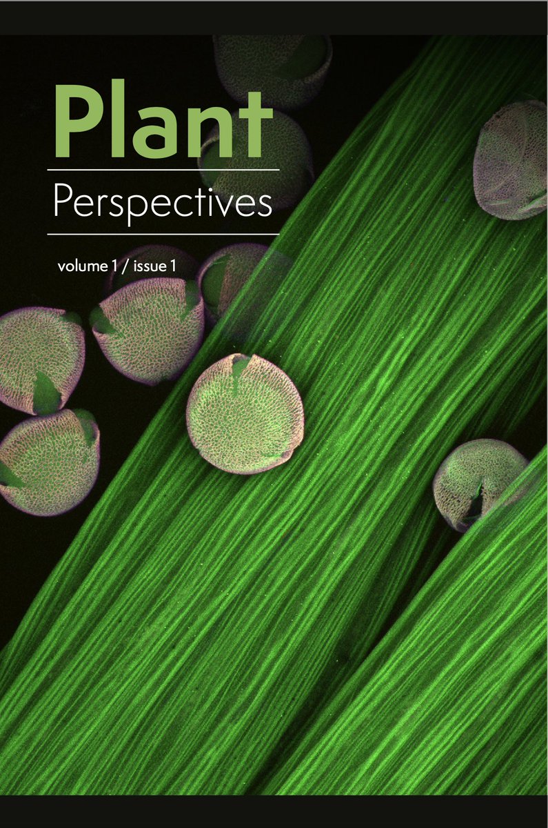 We’ve published 4 new #openaccess items in ‘Plant Perspectives’: poems by Evgenia Emets and Christopher Konrad; Isabella Clarke's narrative non-fiction ‘Conversations with Trees’; and Merve Ünsal's commentary about her audio work, ‘Into the Wind’. whp-journals.co.uk/PP/forthcoming… #envhum