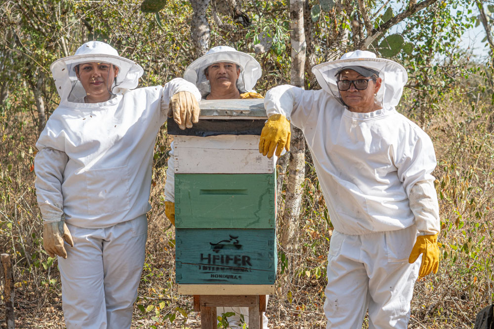 Bees are crucial for pollination and ecosystems, but #DYK they can also keep people anchored in their communities? Learn how → ms.spr.ly/6016YkauQ #WorldBeeDay