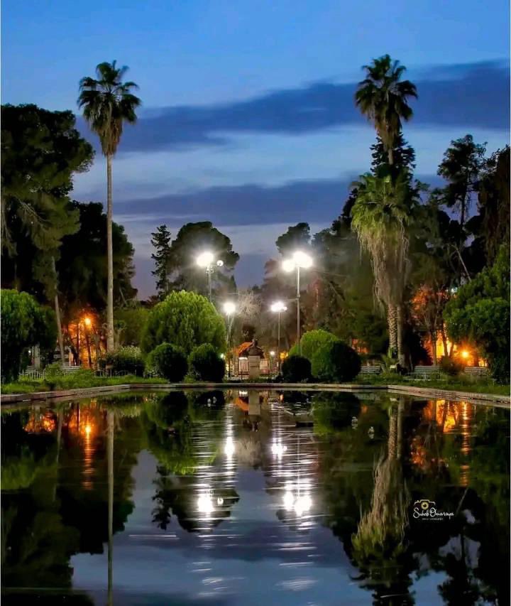 الحديقة العامة وسط مدينة حلب مع بداية المساء😍❤