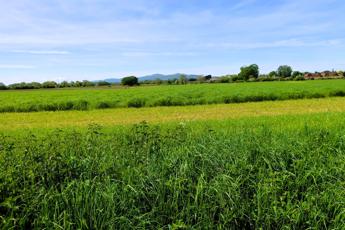 The Malvern Hills rise dramatically in the distance