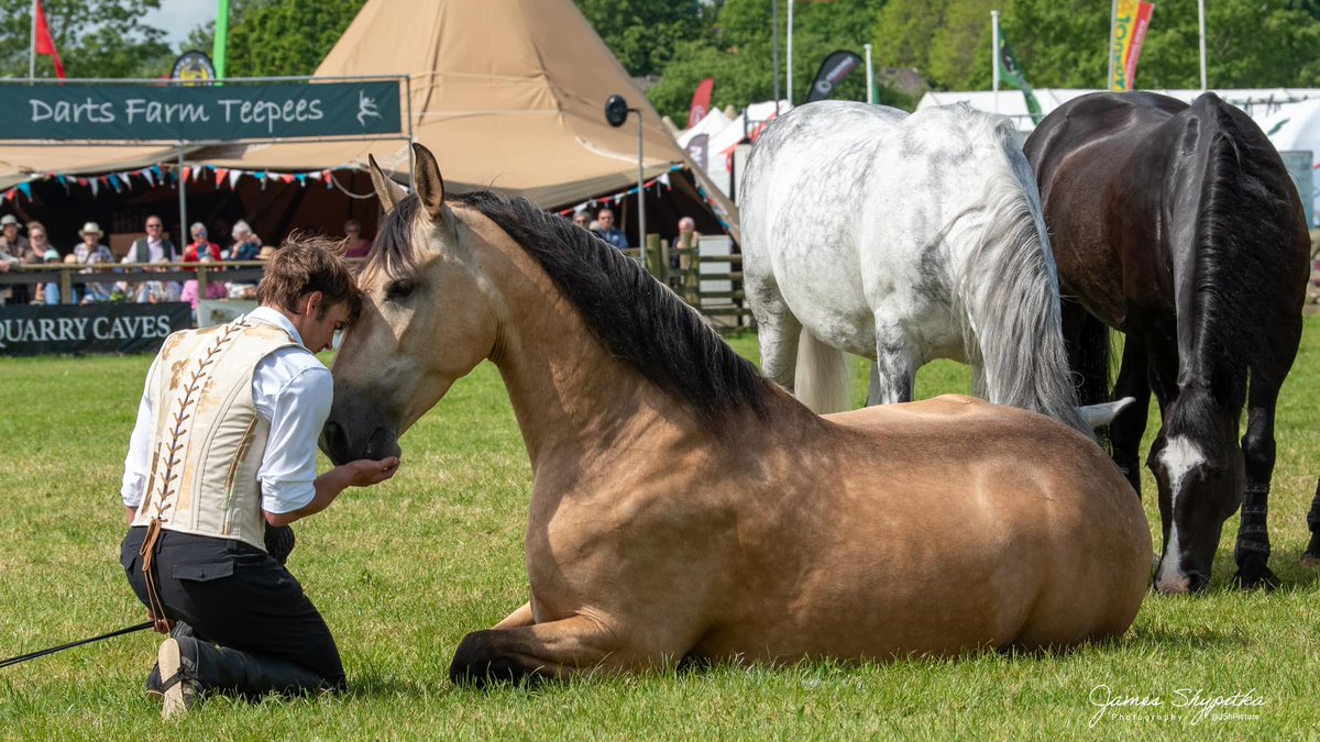 Devon County Show (@devoncountyshow) on Twitter photo Ben Atkinson has the most incredible connection with his beautiful horses β€οΈ Saturday performance times are 12 noon & 4.00pm in the main arena.
Photography credit to JShpicture.
#devoncountyshow Ben Atkinson has the most incredible connection with his beautiful horses β€οΈ Saturday performance times are 12 noon & 4.00pm in the main arena.
Photography credit to JShpicture.
#devoncountyshow