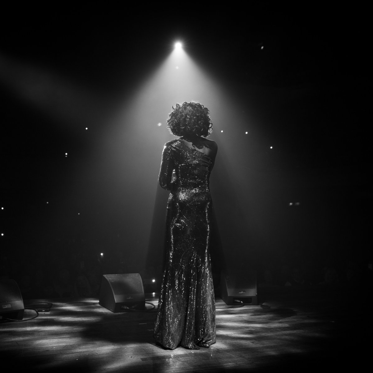 Join us for an unmissable evening filled as we pay homage to the one and only queen of the night, Whitney Houston 👑🌟 💕Featuring songs such as I Wanna Dance With Somebody, One Moment In Time, I’m Every Woman, I Will Always Love You, and many more 💕 🎟️Link in bio 📅23-24 May