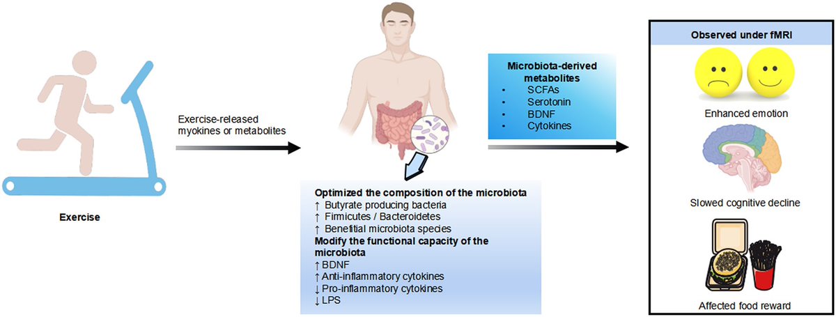 Microbiota–gut–brain axis: the mediator of exercise and brain health…
academic.oup.com/psyrad/article…