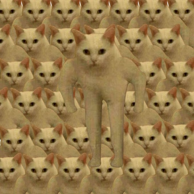 slingoor tweet media