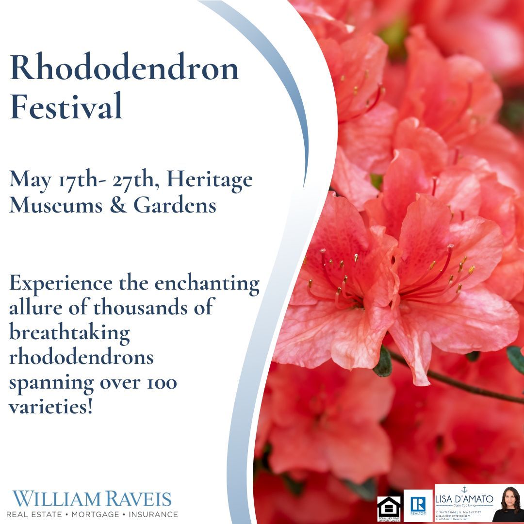 LisaDAmatoKW's tweet image. ✨ Friday Feature ✨Rhododendron Festival✨
🌺 Delight in the Rhododendron Festival at Heritage Museums &amp;amp; Gardens in #SandwichMA! 🌺 Experience the enchanting allure of thousands of breathtaking rhododendrons spanning over 100 varieties. From today until 5/27.
#LisaDamatorealtor