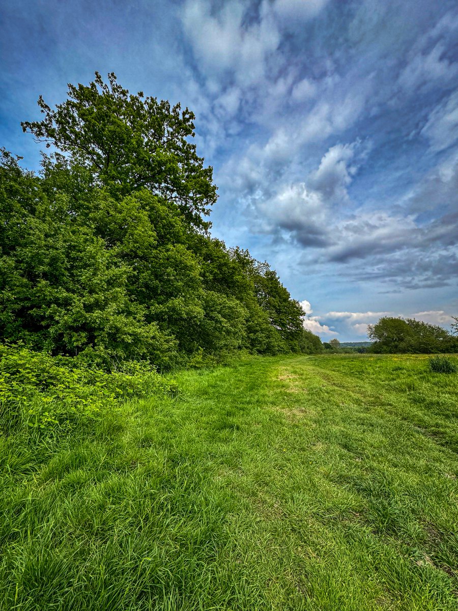 No better way to round off the day before dinner than a nice walk through the fields with my wife. Just a shame I've got an 03:30 alarm for work. #TreeClub