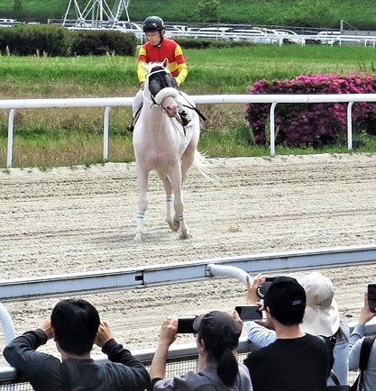 オグリの里最新号アップシマシタ😆ハルオーブ3着「好きです！笠松競馬ダート」アイドル対決、アオラキは５着→gifu-np.co.jp/articles/-/387… #笠松競馬 #笠松競馬場 #ハルオーブ #アオラキ #地方競馬 #大井競馬