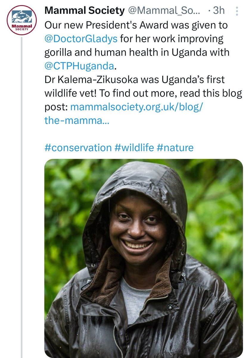 Exciting News! 🎉 Our Founder & CEO, @DoctorGladys has been honored with the prestigious @Mammal_Society President's Award 2024! 🏆 Congratulations Dr. Gladys, for this recognition in conserving gorillas through the #OneHealth approach with @CTPHUganda! 🦍