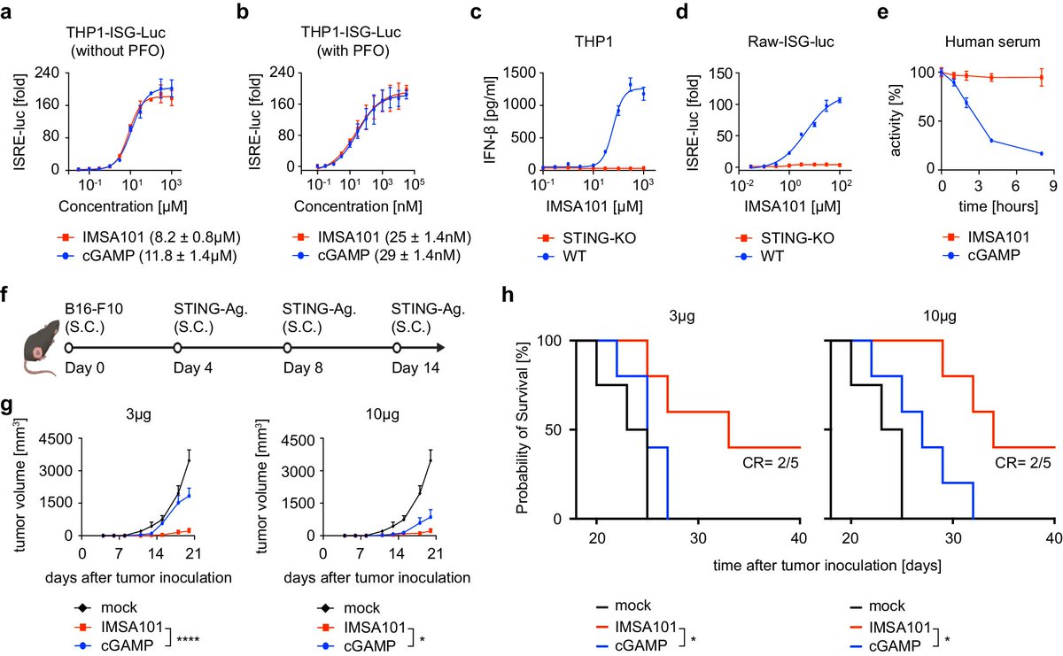 New stimulator of interferon genes (STING) agonist IMSA101 found to enhance CAR-T cell function via IL-18 secretion ft. @UgiUslu, @msofiacastelli, @FinckAmanda, Regina Young, @CarlHJune (@PennPathLabMed) & Charles-Antoine Assenmacher (@PennVet) tinyurl.com/3x3xw474