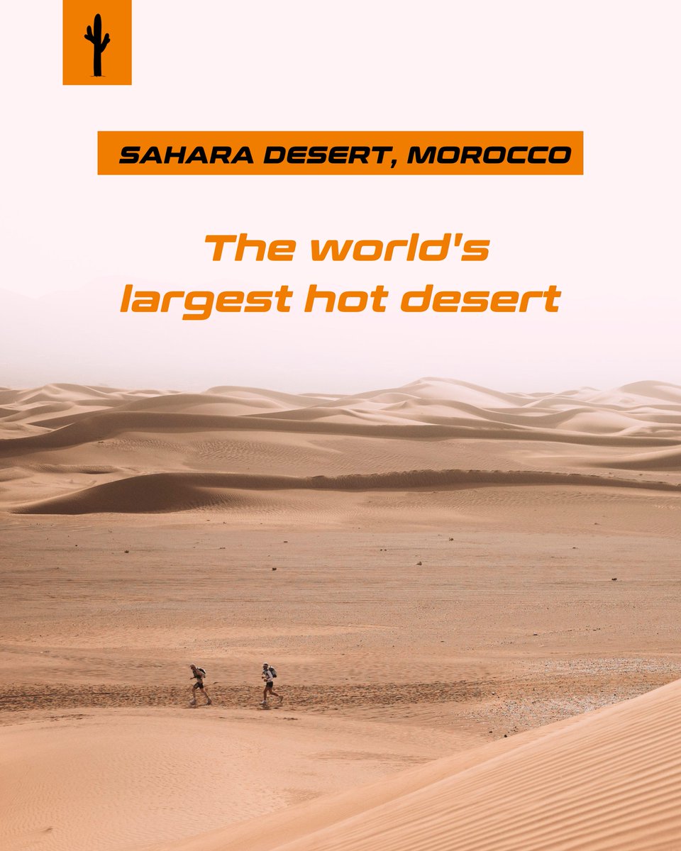 Get ready for the MDS Legendary 2025 adventure! 💥 Save the date! 📆 The 39th edition will take place from April 4 to 14, 2025. ⚠️ You can register from June 19, 12pm (UTC+2). A unique 11-day adventure in the extraordinary Moroccan Sahara desert. 🏜️