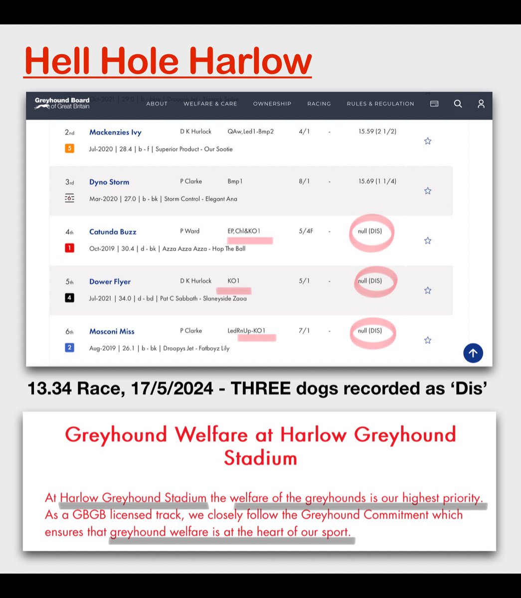 Do they honestly think we will believe their claims? If they really cared, there would be NO greyhound racing. Is this vile industry something we really want in 2024? #bangreyhoundracing #animalcruelty #AnimalAbuse #cutthechase #roberthalfonmp