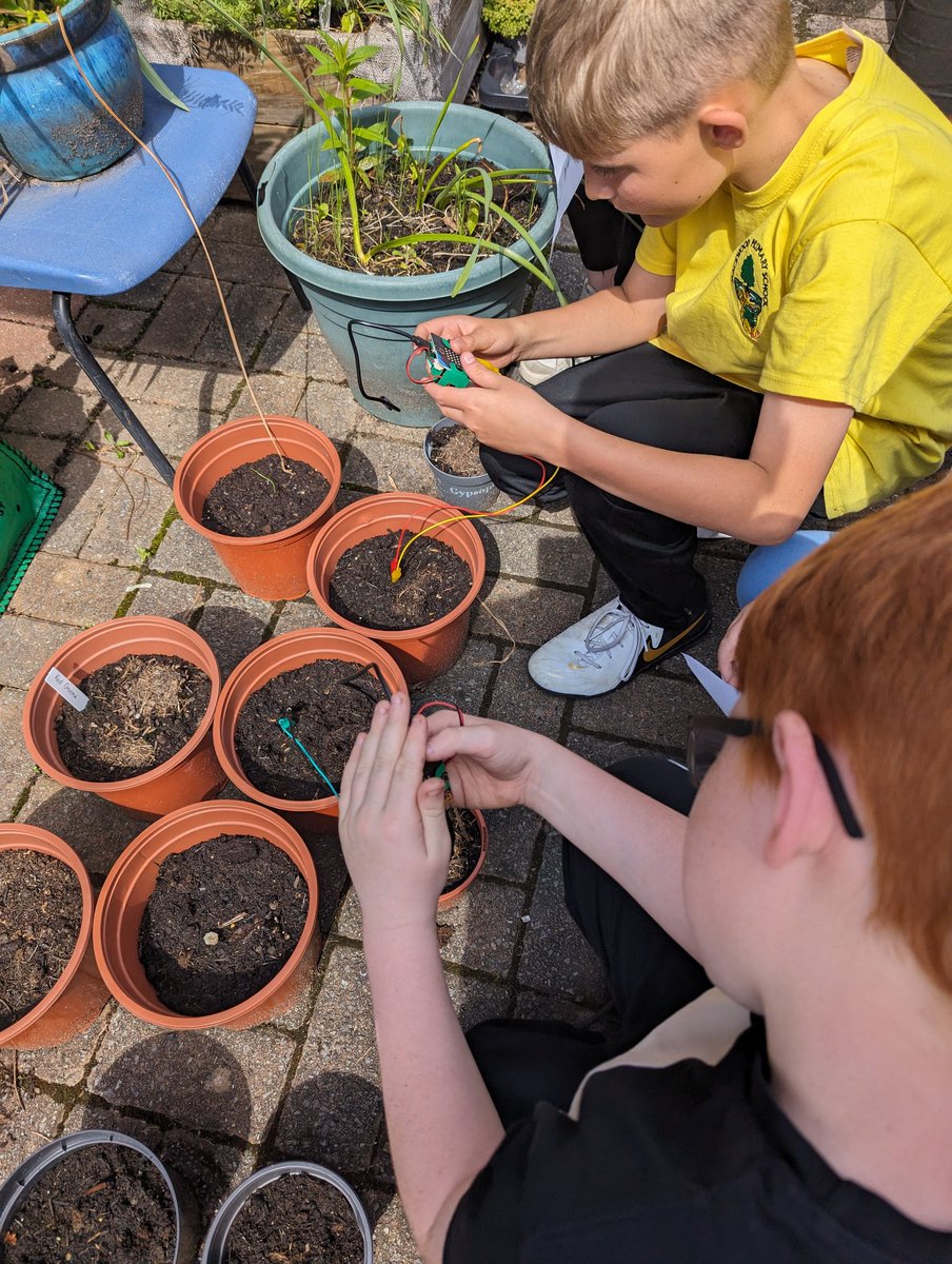 Year 5 using @microbit_edu Microbits to create soil moisture to check when out allotments need water @Blackwood_PS