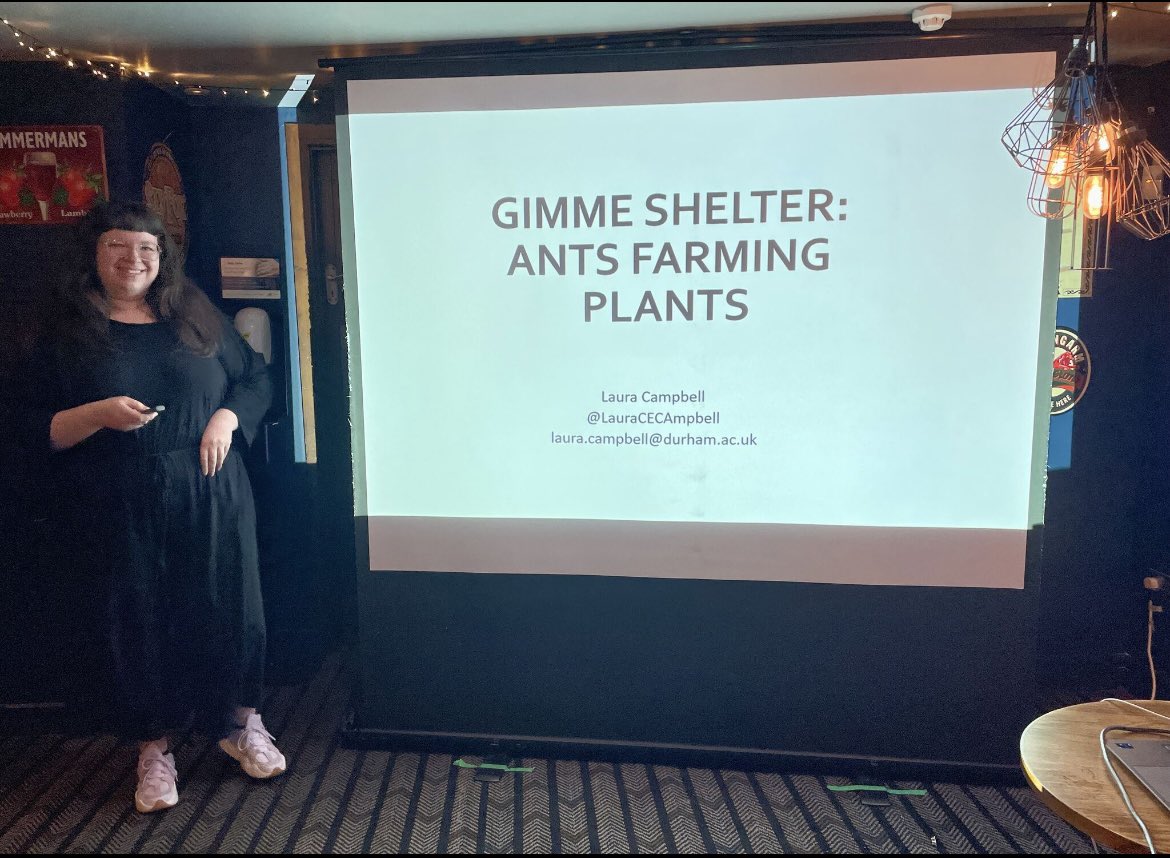 Laura Campbell (@lauracecampbell) on Twitter photo Had a lot of fun speaking at Durham’s <a href="/pintofscience/">Pint of Science UK</a> this week - thank you to Lara Small, Tate Goche + Yuliang Zhou for organising and hosting me! Was in good company with great talks from Simona Capisani talking about non-human refugees and John Bothwell talking about seaweed!🐜 Had a lot of fun speaking at Durham’s <a href="/pintofscience/">Pint of Science UK</a> this week - thank you to Lara Small, Tate Goche + Yuliang Zhou for organising and hosting me! Was in good company with great talks from Simona Capisani talking about non-human refugees and John Bothwell talking about seaweed!🐜