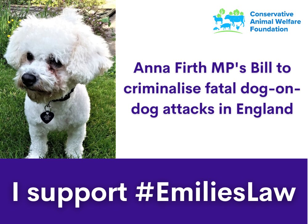 I am delighted that I had the opportunity to bring forward my second private members bill, Emilie’s Law, for its second reading today, which would criminalise fatal dog-on-dog attacks and ensure that irresponsible owners who allow their dogs to kill other people’s dogs take