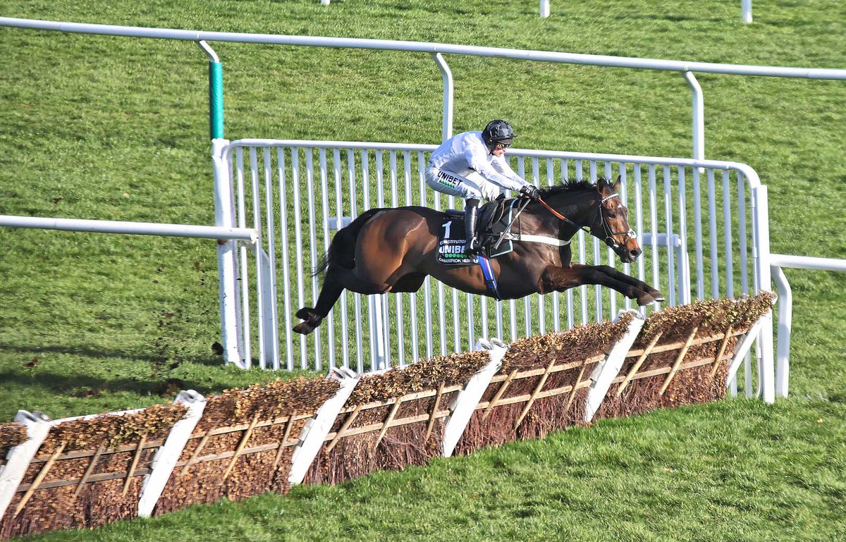 🙌 Nicky Henderson on CONSTITUTION HILL, per @AtTheRaces:

'We went to see him on Thursday and I've got to say - I just couldn't possibly be happier. He looked fantastic!

'He gave us that sort of buzz yesterday that he was saying, 'Hey, look at me'.'