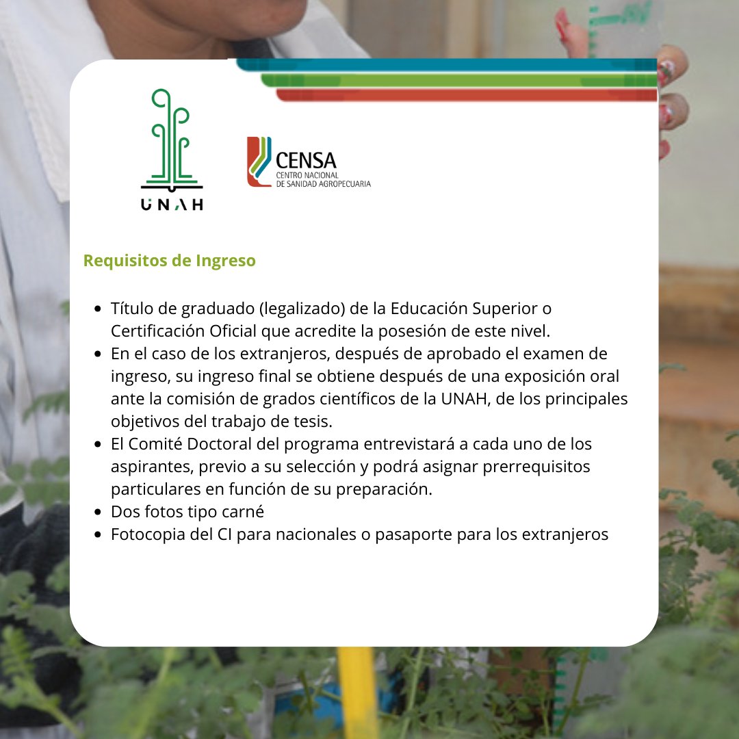 Se abre CONVOCATORIA del Programa de Doctorado #SanidadVegetal.
📷 𝐃𝐮𝐫𝐚𝐜𝐢ó𝐧: 3 años
Coordinadora: Dr. C. Belkis Peteira Delgado-Oramas.
Departamento de Sanidad Vegetal. Grupo Fitopatología. #censacuba
Email: belkispeteiradelgado@gmail.com
Teléfono: 047 489145 ó 59223506