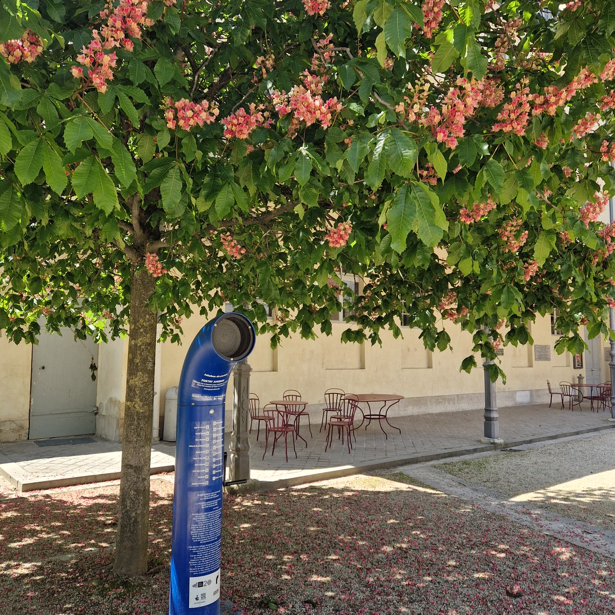 Demain, lancement de la nouvelle sélection de notre Poetry Jukebox et conversation entre poètes ! 🎧 Vous pouvez d'ores et déjà écouter les poèmes ici : soundcloud.com/user-815416158… 📅 Mardi 21 mai à 19h30 👉 Entrée libre - infos & réservations : centreculturelirlandais.com/en-ce-moment/e…