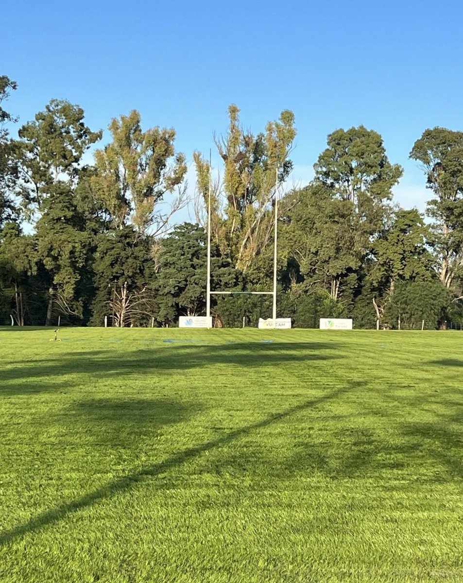 Este sábado nuestra cancha principal de rugby estrenará el resembrado con césped de invierno que se llevó a cabo bajo la coordinación de Martín Quindt.

Además, el campo se fertilizó con un compuesto químico a base de fósforo, nitrógeno y azufre, lo que le brinda un mayor vigor.