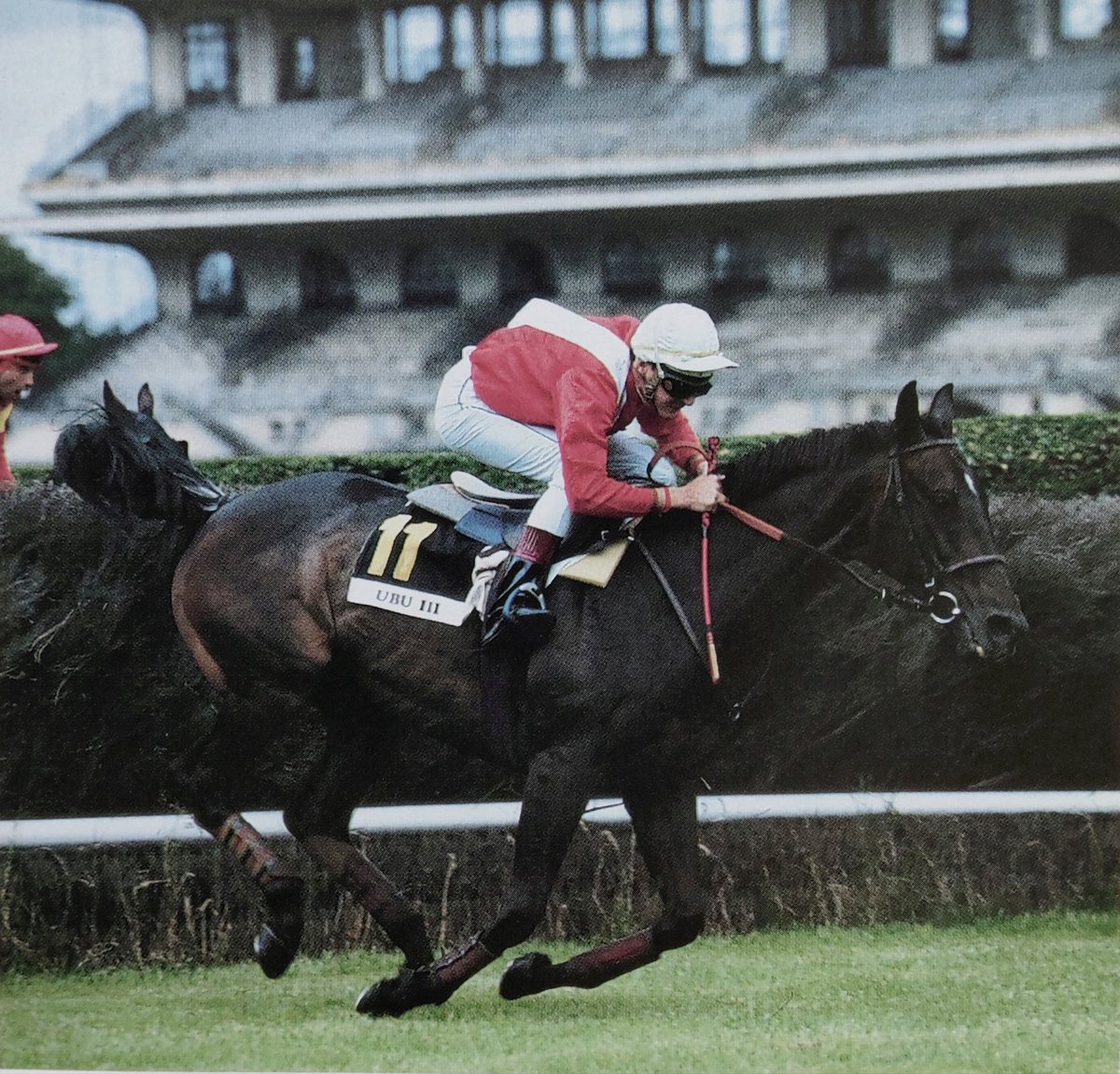 UBU III [😢] Marquise de Moratalla / François Doumen Adam Kondrat - Philippe Chevalier 🥇 Grande Course de Haies d'Auteuil 1992 🥇 Grande Course de Haies d'Auteuil 1993 🥇 Grand Steeple-Chase de Paris 1995 par Maiymad (🟩🟥) et Isis VIII