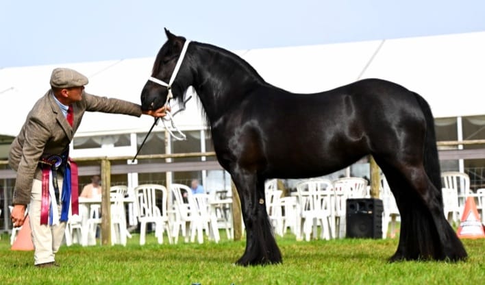 Devon County Show (@devoncountyshow) on Twitter photo Congratulations to Philip Ward-Burton and this stunning filly owned by the Steeples.
πππGREENHOLME POTENTIAL πππ
π1st HFD Youngstock
πCHAMPION FELL PONY and then...
πOVERALL HFD CHAMPION Congratulations to Philip Ward-Burton and this stunning filly owned by the Steeples.
πππGREENHOLME POTENTIAL πππ
π1st HFD Youngstock
πCHAMPION FELL PONY and then...
πOVERALL HFD CHAMPION