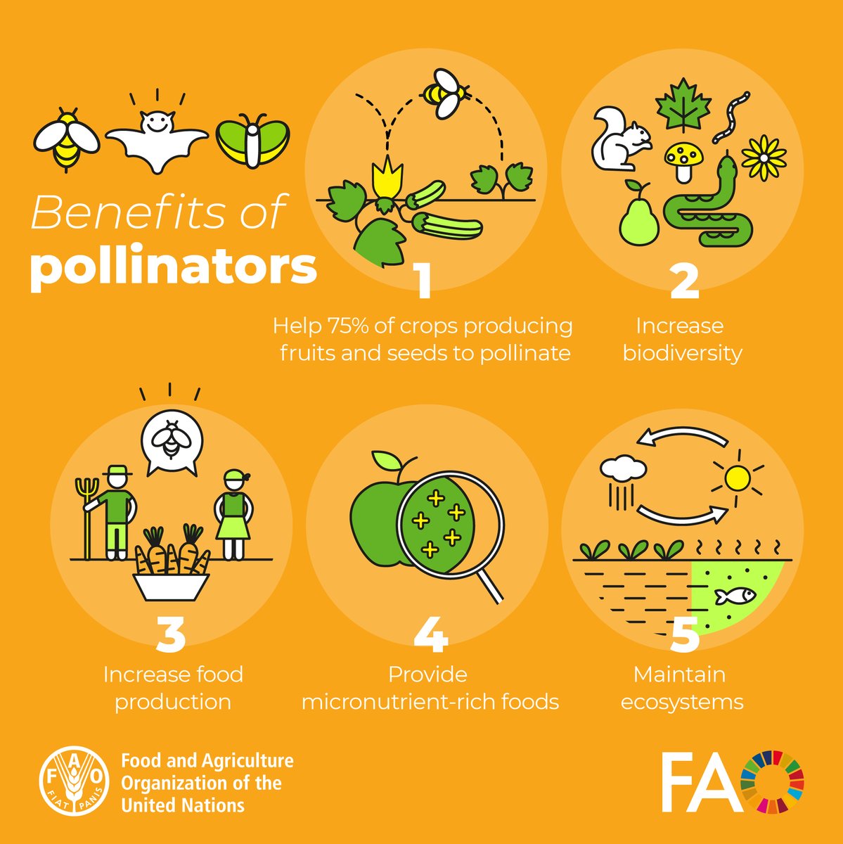 Much of the food we eat depends on bees 🐝. These guardians of biodiversity play a key role in achieving the #GlobalGoals. Learn more from @FAO on Monday's #WorldBeeDay: fao.org/world-bee-day/…