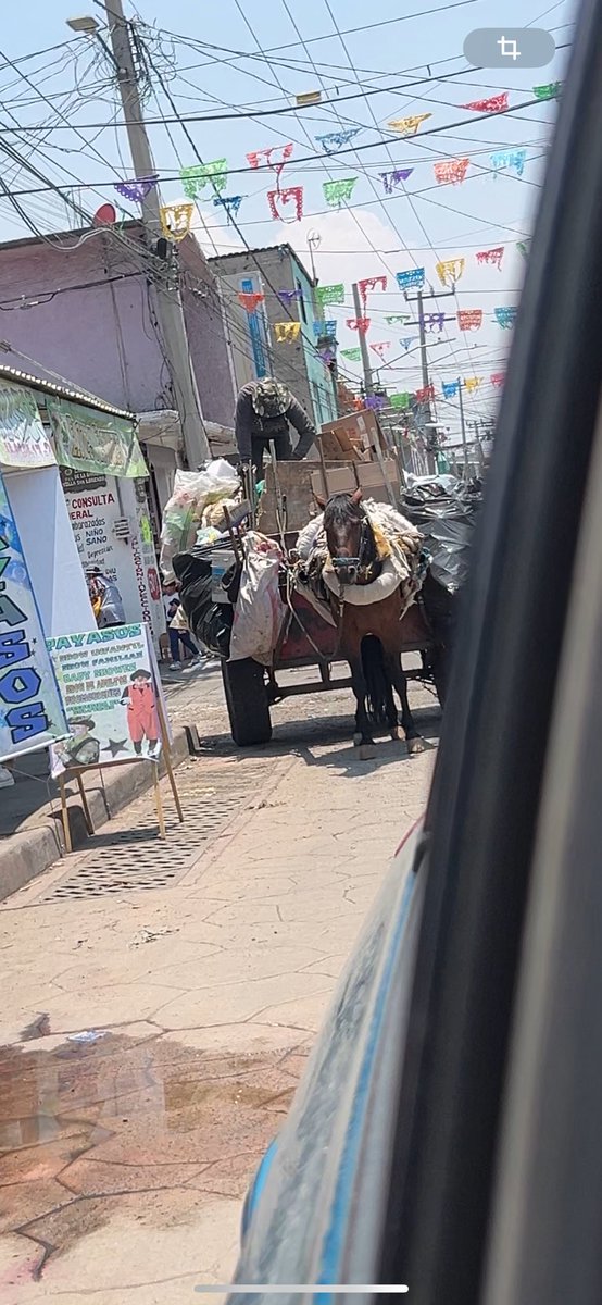 URGE AYUDA!!  
<a href="/sereslibres_mx/">Seres Libres A.C.</a> 
<a href="/cuacolandia1/">Cuacolandia</a> 
<a href="/GranjitaTyH/">Granjita TyH</a> 
<a href="/FundacionToby/">Fundación Toby</a> 
<a href="/propaem_sma/">PROPAEM</a> 
Este caballo es explotado a diario, caminando durante horas bajo el rayo del sol, cargando kilos y kilos de basura, lo han visto desplomarse del peso, el tipo lo levanta a gritos y golpes.