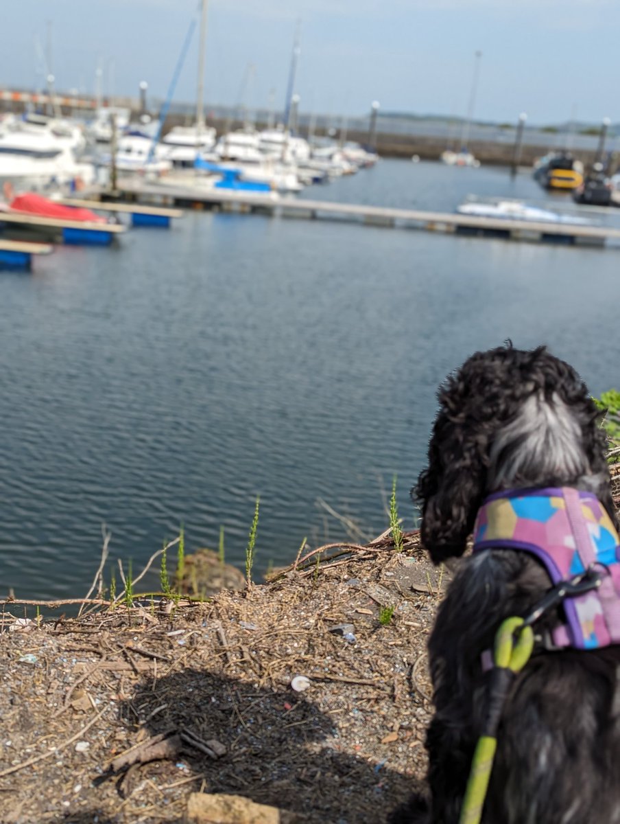 A last look at Scotland after saying goodbye to my last grandparent. It's been a tough one but grateful for the time we had.