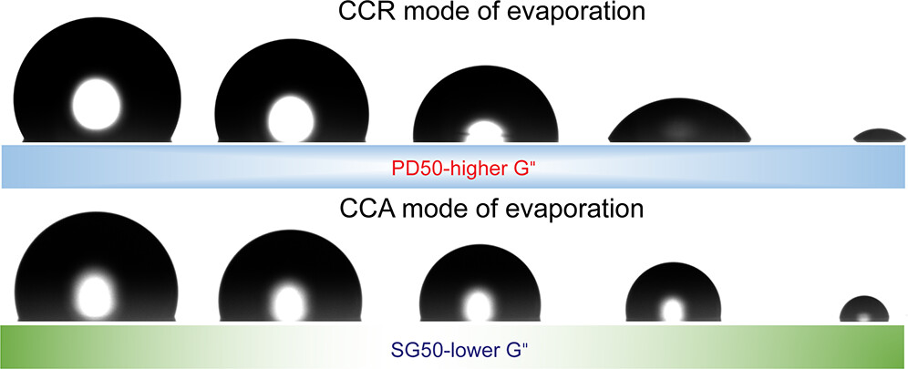 Excited to share our latest article (from @OISTedu) with Prof. Amy Shen (@ShenU_OIST )&Prof. Ashis Sen (@AshisLab_IITM)! We explore how the #storage (G′)& #loss (G″) moduli of #viscoelastic substrates affect the evaporation dynamics of a sessile droplet. 
pubs.acs.org/doi/full/10.10…