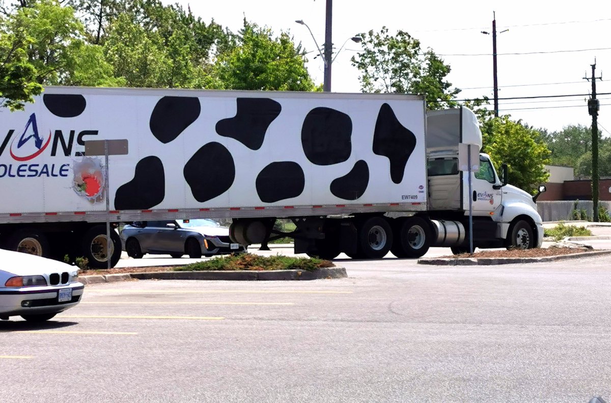 The <a href="/CowserColton/">Colton Cowser</a> fan truck was #spotted in <a href="/CityWindsorON/">City of Windsor</a> yesterday. 
<a href="/jbenowitz1831/">Jason Benowitz</a> <a href="/Orioles/">Baltimore Orioles</a> #thepasture #orioles #moo #birdland #gobirds #goorioles <a href="/MLB/">MLB</a> #mlb #baltimoreorioles @cityofbaltim