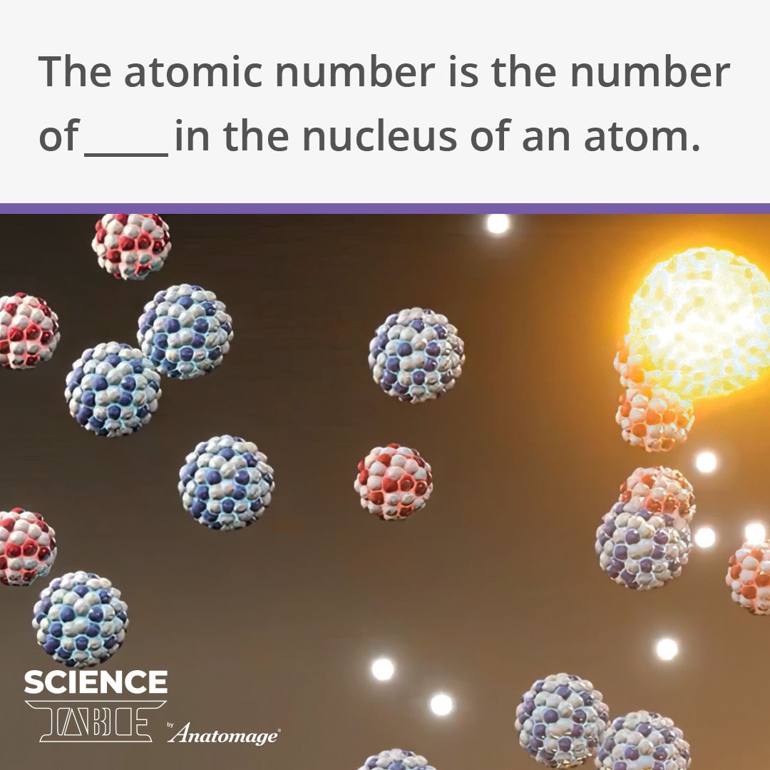 React with the corresponding emojis below to let us know your answer: ❤️ Neutrons 💡 Protons 👍 Electrons #sciencetrivia #themoreyouknow #canyouguess #STEM #sciencequiz #science #scienceknowlege #proton #neutron #electron #foryou #instascience