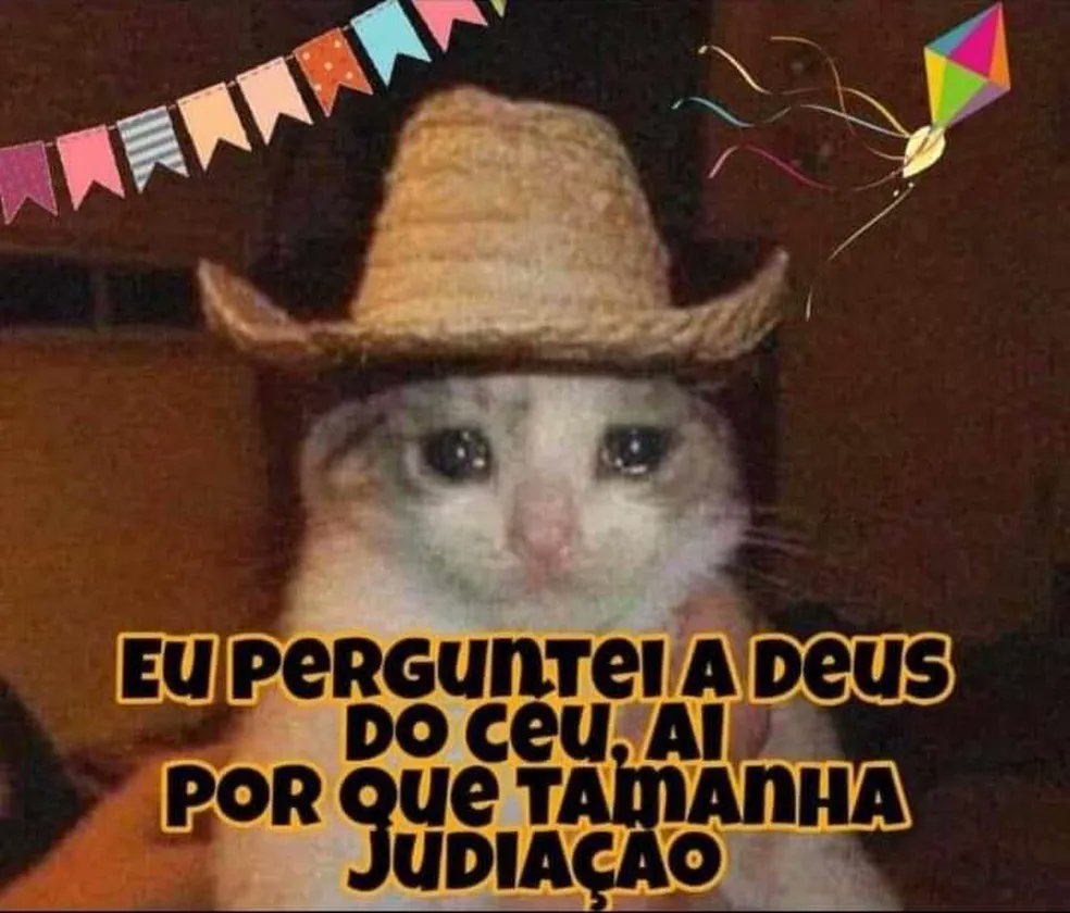 SusanneCom2N's tweet photo. Junho tá chegando e eu queria muito recomendações de FESTA JUNINA/QUERMESSES legais e mais tradicionais aqui em São Paulo. Alguém me ajuda? É pra servir de locação pra uma gravação https://t.co/IHG2Sg9waU