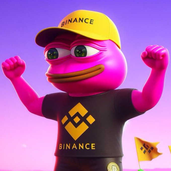 EY @binance WE WILL BIG WINS. LIST $PORK