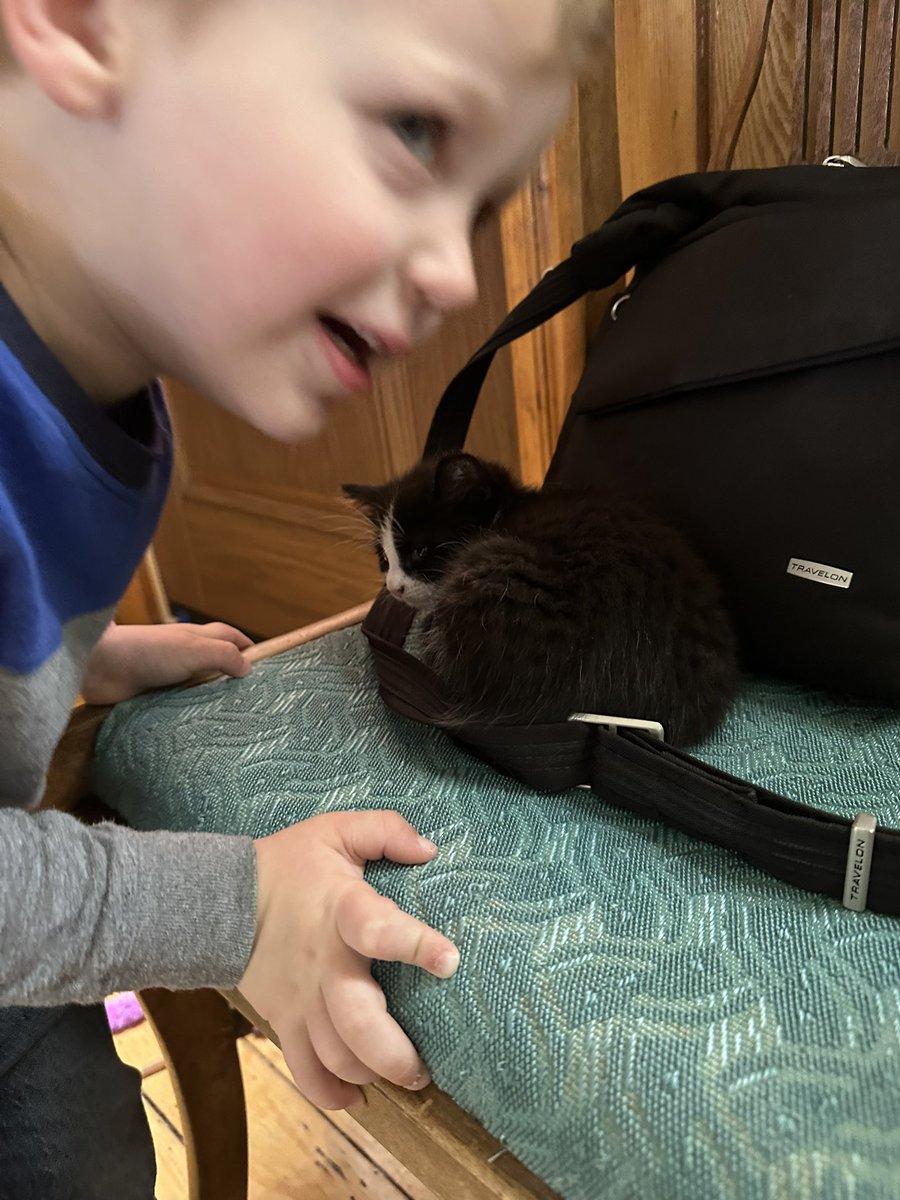 Miller’s Dairy is at the Hagersville FOODLAND today so stop in for a visit and one of our customers pictured here is Rita! On a different subject we have one very fluffy adorable kitten left and she would love a home. #hagersvillefoodland #happycustomers #kittenlove💕